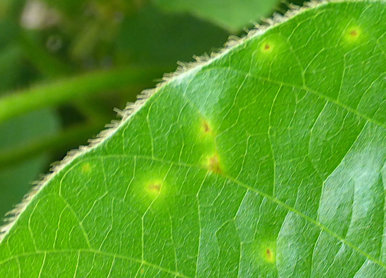 Foto:&nbsp;Tristan Mueller