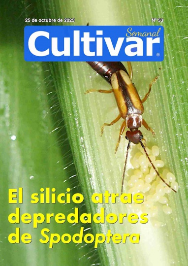 Cultivar Semanal 53
