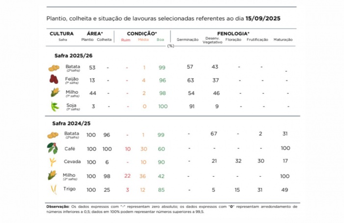 PR Safra 2025/26: plantio da soja inicia em regiões do Estado
