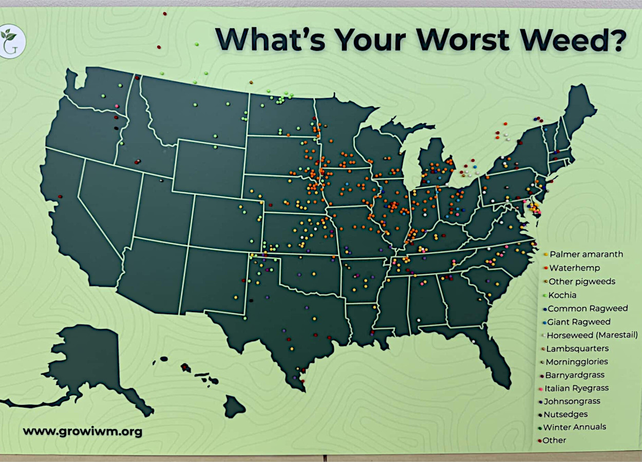 Foto: Amy Sullivan, GROW