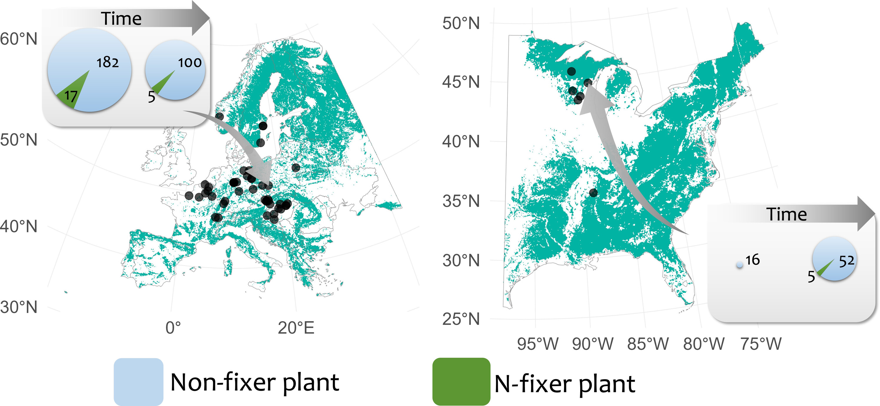 Os locais estão localizados em florestas temperadas da Europa (n = 47) e dos EUA (n = 6) e incluem 971 parcelas que contêm pelo menos uma espécie fixadora de N em uma ou ambas as pesquisas. A cobertura florestal é mostrada em verde no mapa. As duas caixas de exemplo mostram as tendências para fixadores de N (verde escuro) e não fixadores (azul claro) em um local que perdeu e um local que ganhou espécies fixadoras e não fixadoras de N. O tamanho da torta é proporcional à riqueza geral do sub-bosque