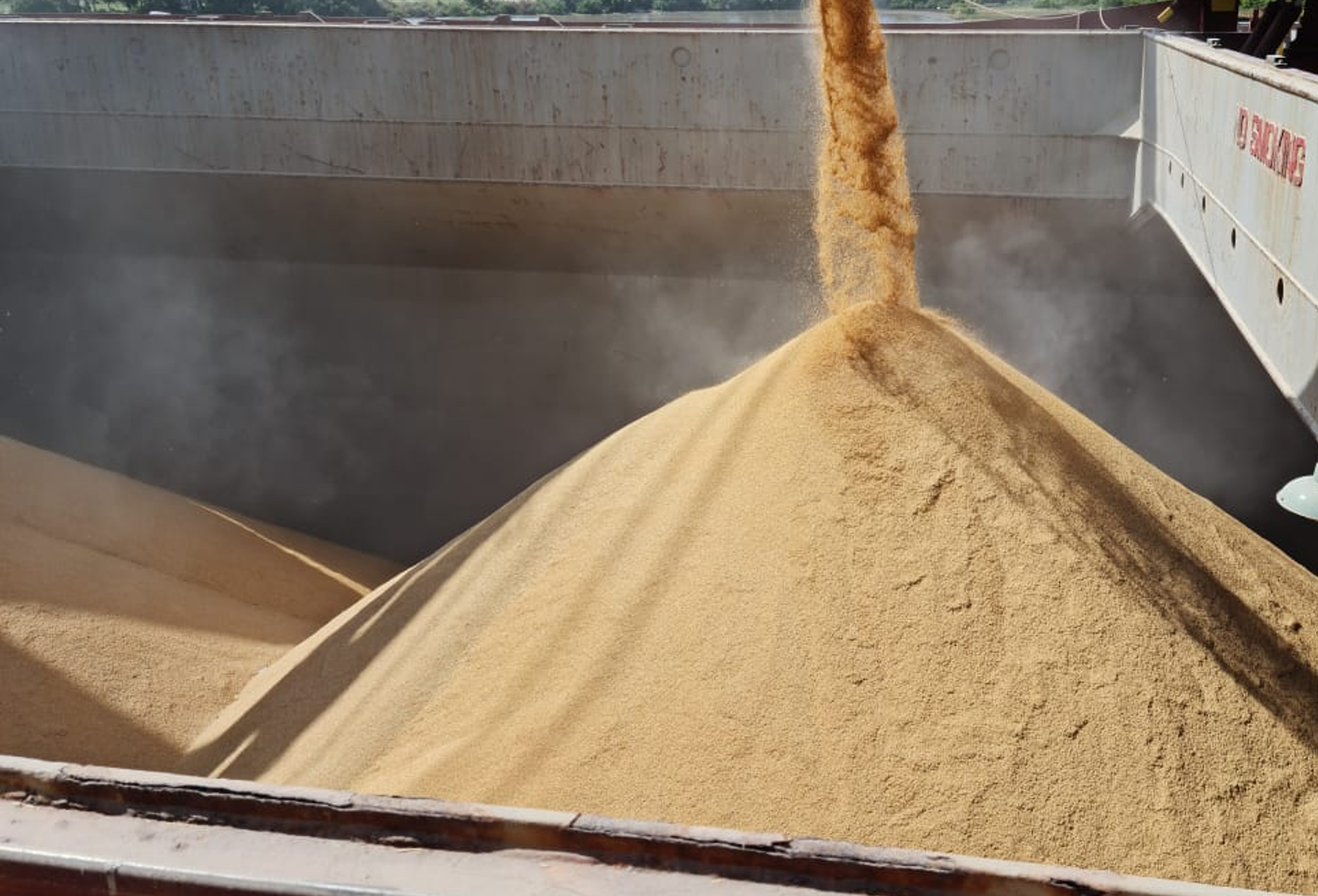 Confirmado embarque de 30 mil toneladas de arroz para o México