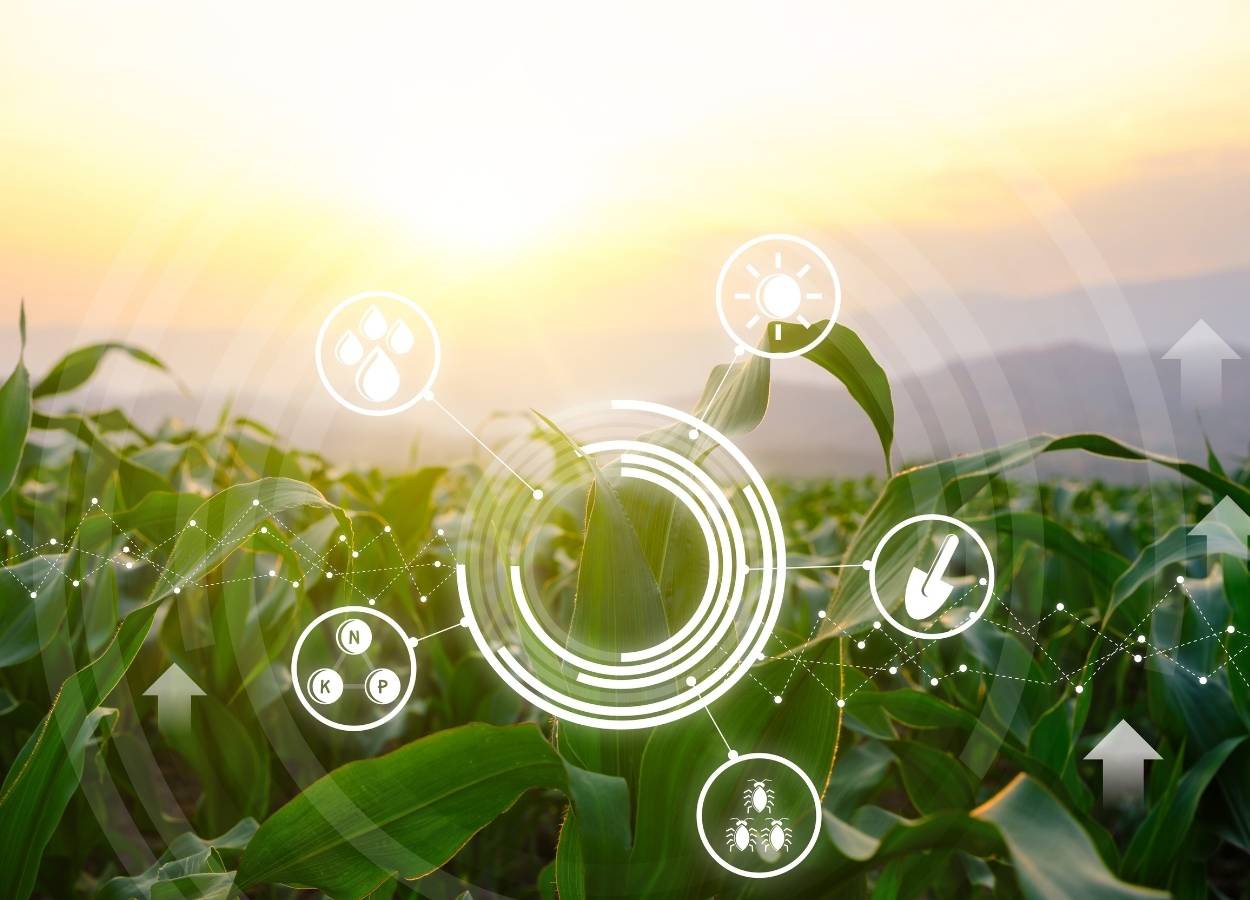 Embrapa promove encontro sobre bioinsumos e adaptação climática