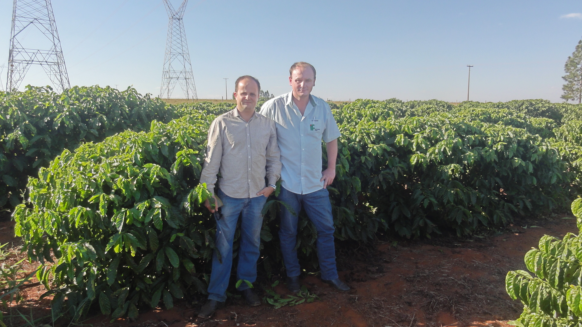 Projeto testa adaptabilidade de cultivares de café Conilon em Minas -  Muzambinho.com