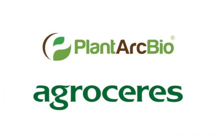 PlantArcBio licencia genes à Helix Sementes
