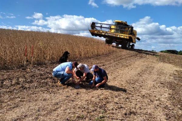 Emater/RS-Ascar monitora perdas na colheita da soja