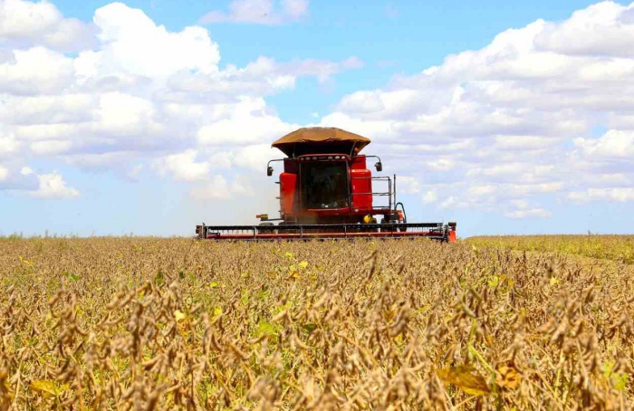 PR Safra 2025/26: clima irregular reduz projeção da soja