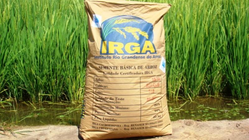 Irga publica aviso de habilitação para comercialização de cultivares