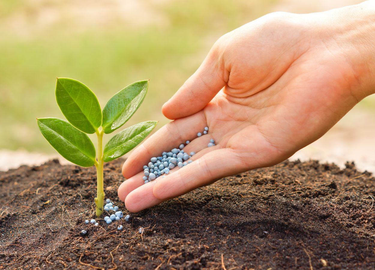 Urea prices in Brazil rise to US$30 per ton