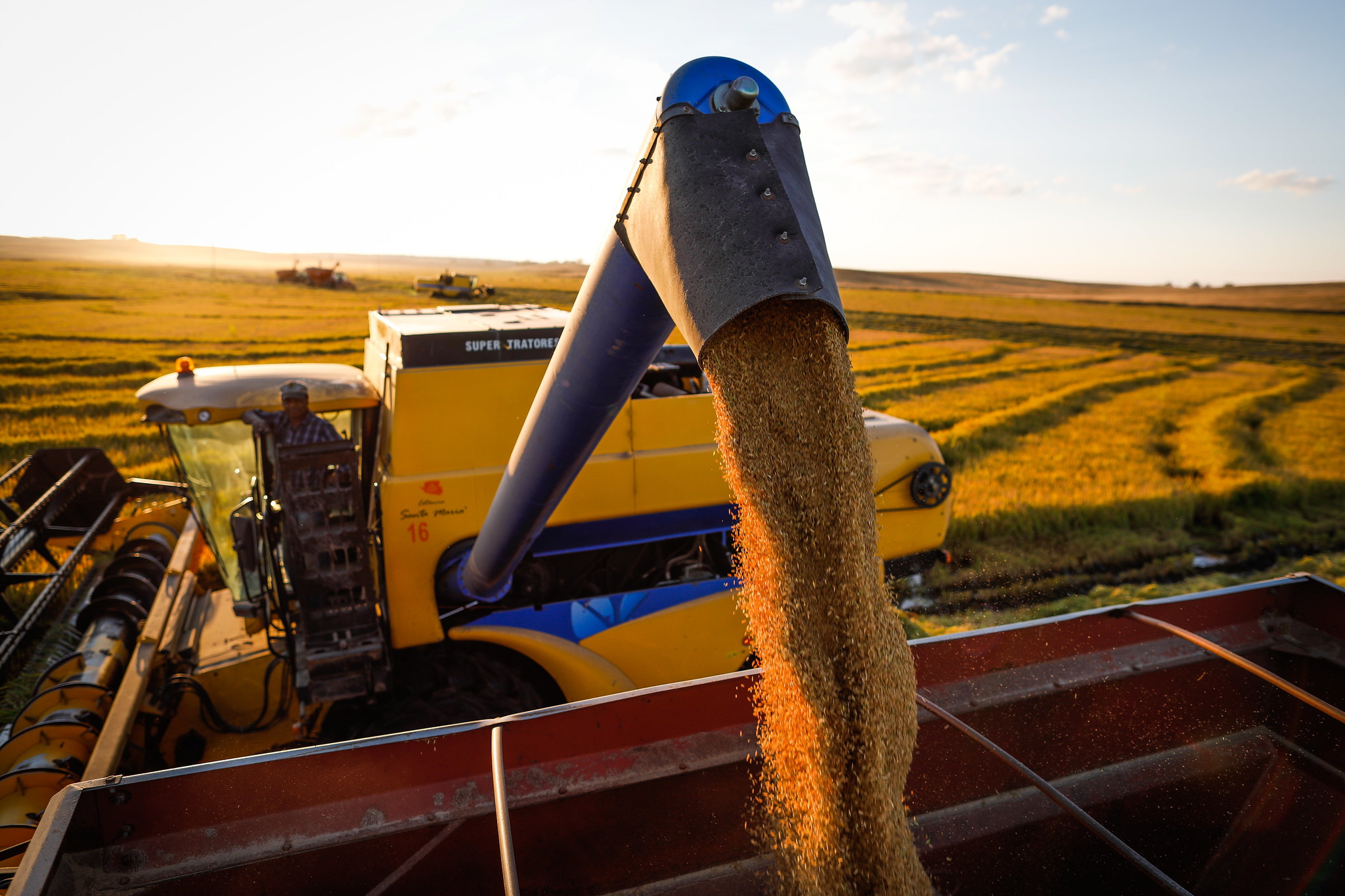 Perspectivas para o agronegócio em 2022