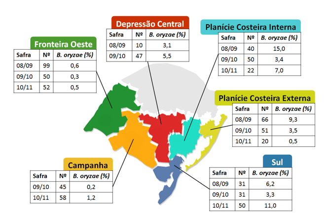 Figura 2. Incidência média de Bipolaris oryzae (percentual de grãos infectados) e número de lotes (Nº) provenientes de campos de produção de sementes certificados pelo IRGA em seis regiões produtoras de arroz irrigado no Rio Grande do Sul realizadas nas safras de 2008/09, 2009/10 e 2010/11.