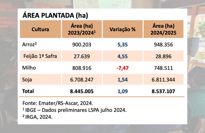 Produção de grãos no Rio Grande do Sul deve crescer 16,91% na safra 2024-25