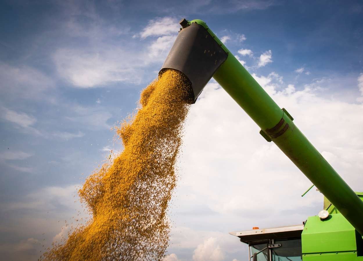 Datagro eleva estimativa da produção de soja e milho 2024/25