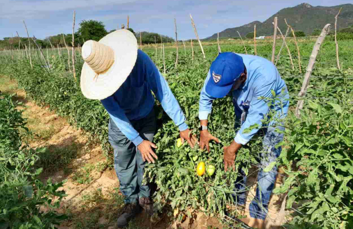 Programa de Irrigação da Abapa fortalece a agricultura familiar no Sudoeste e Oeste da Bahia