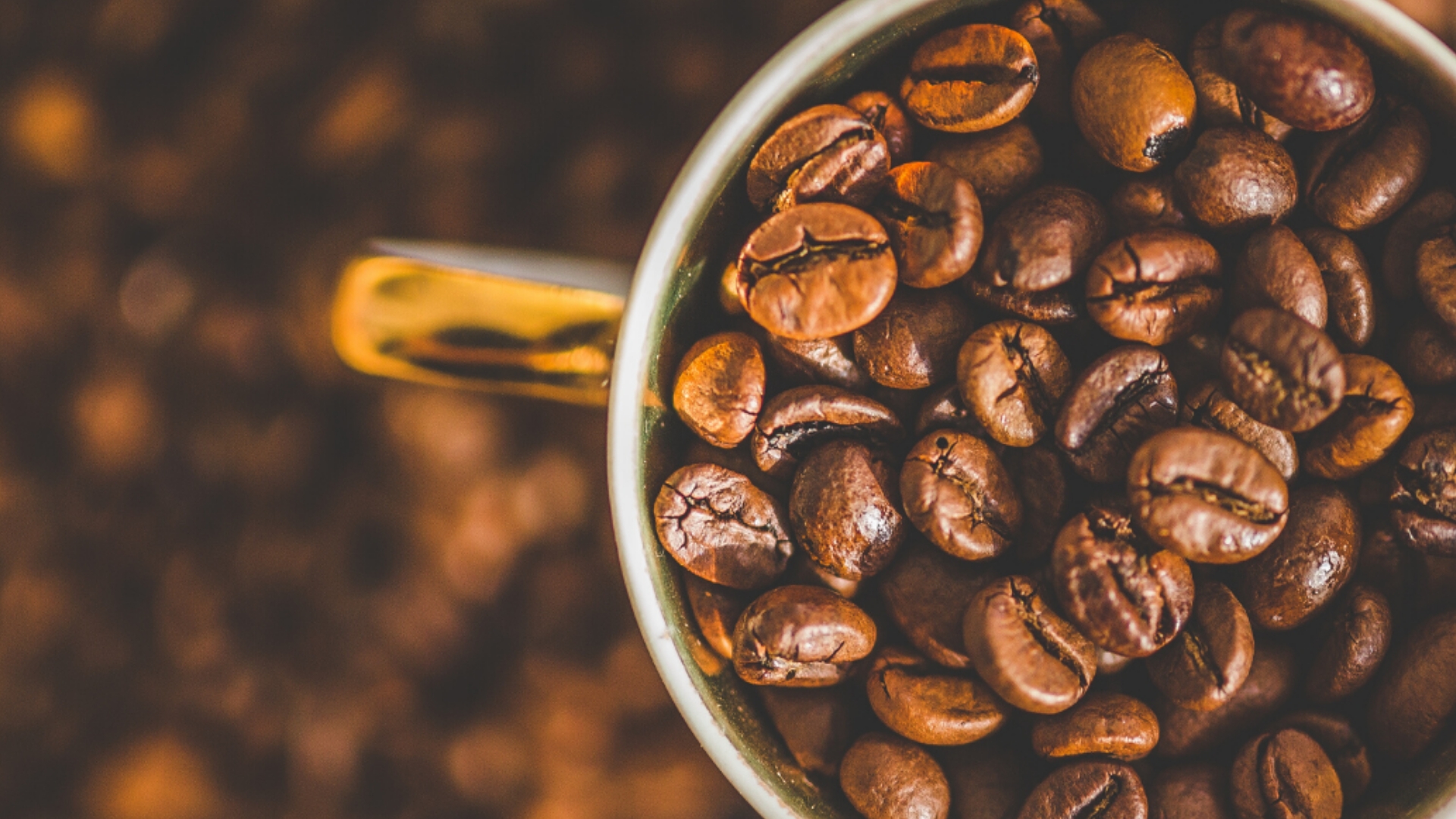 Exportação de café em grão brasileiro ao Canadá cresce 7% em 2021