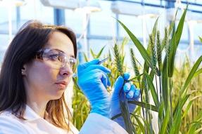 Bayer apoia ideias inovadoras para aumentar a produtividade dos cultivos