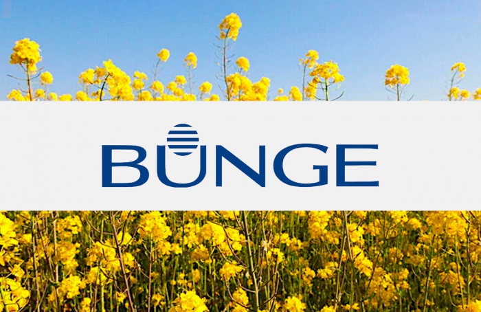 Bunge Global divulga resultados do segundo trimestre de 2024