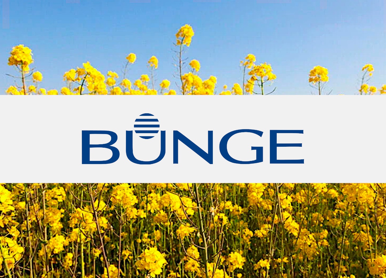 Bunge Profit Surges on Robust North American Soybean Demand