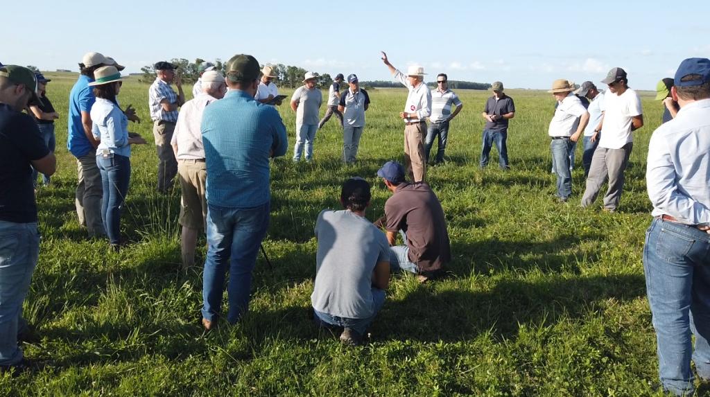 ‘Circuito Irrigasul’ reúne produtores no Rio Grande do Sul