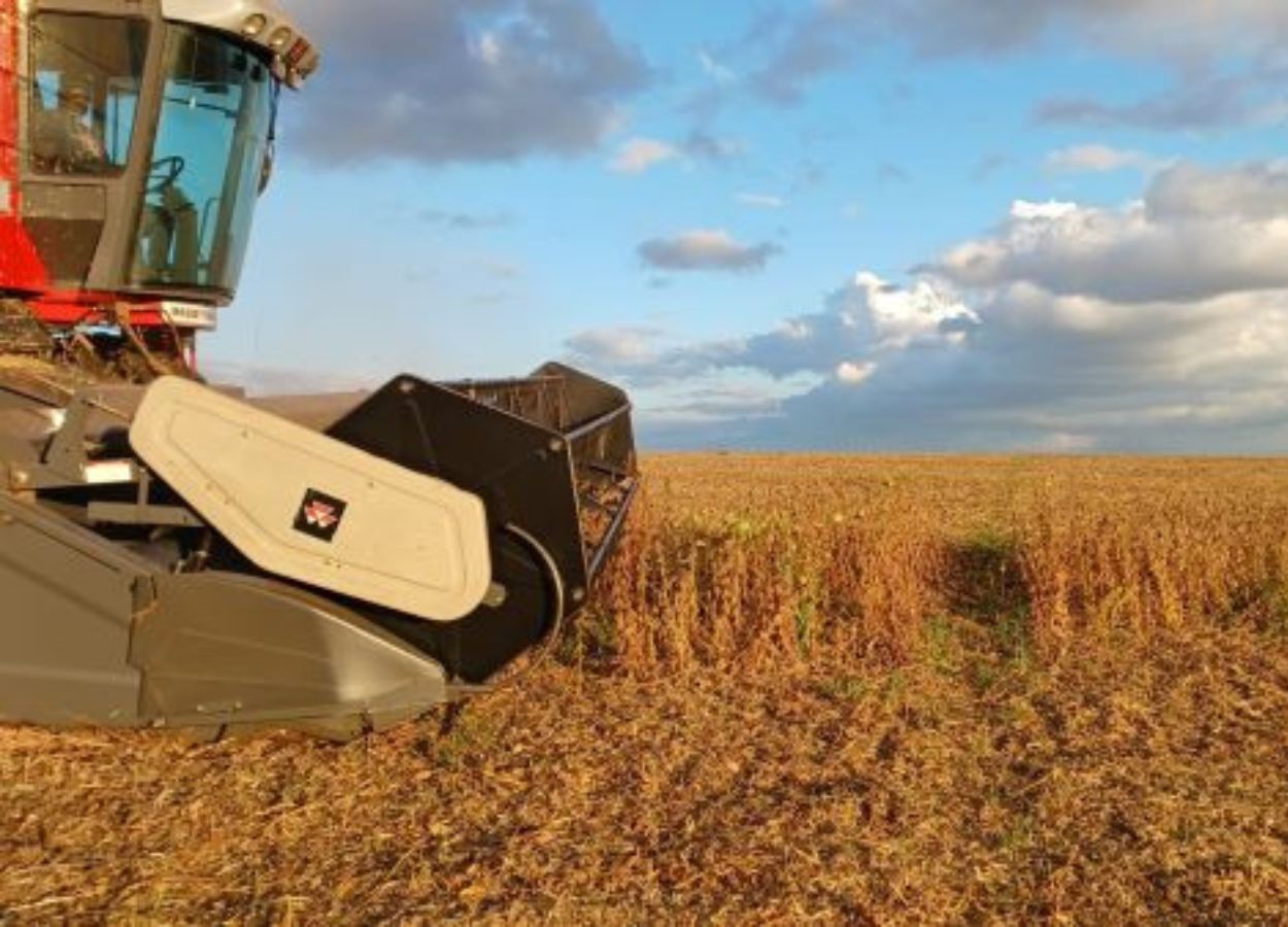 RS Safra 2025/26: colheita da soja atinge 79% da área