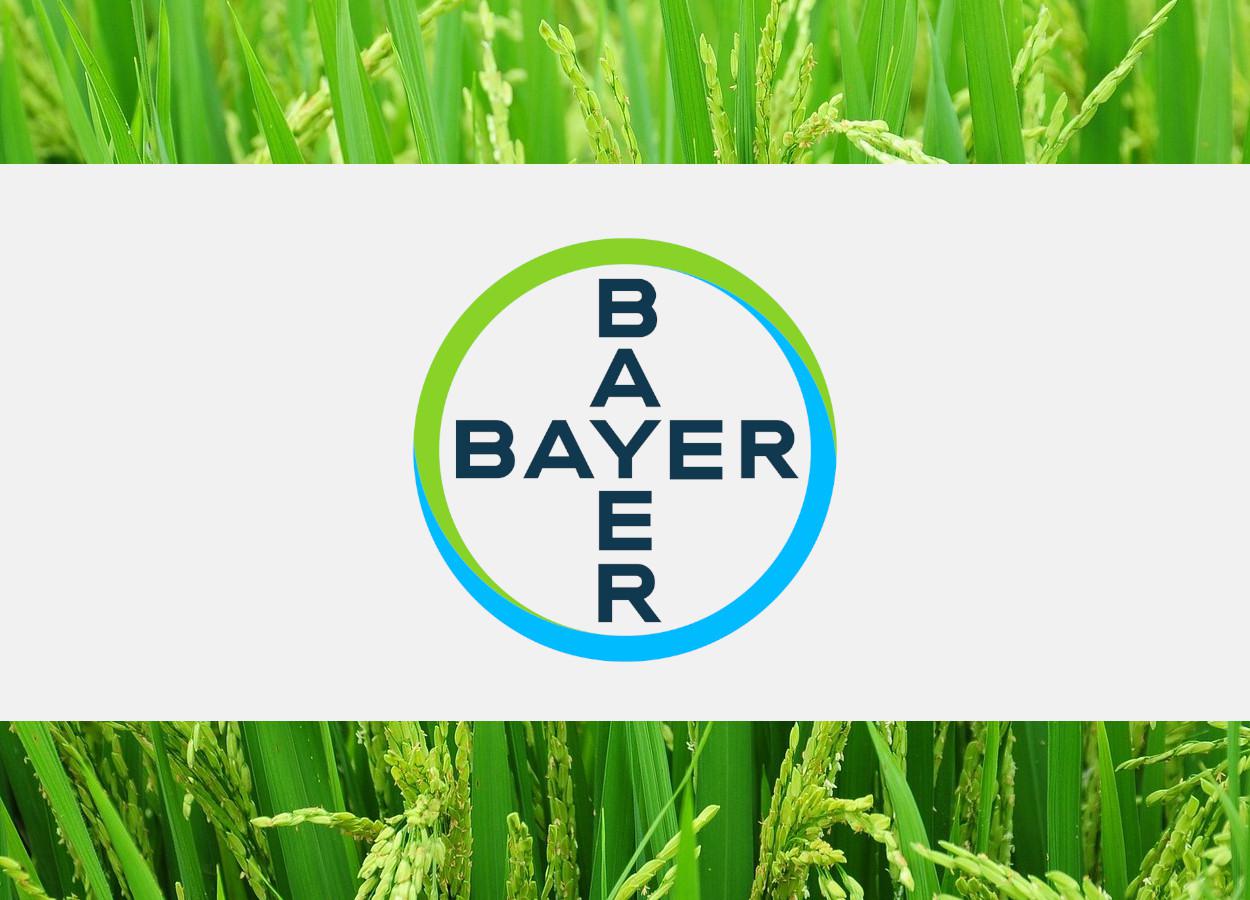 Bayer promotes rice cultivation system at conference in Asia