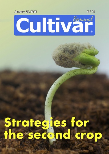 Cultivar Semanal 14