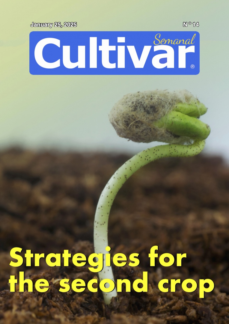 Cultivar Semanal 14