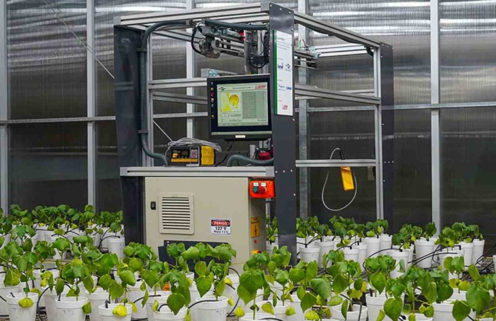 Embrapa testa robô para diagnóstico de doenças em plantas
