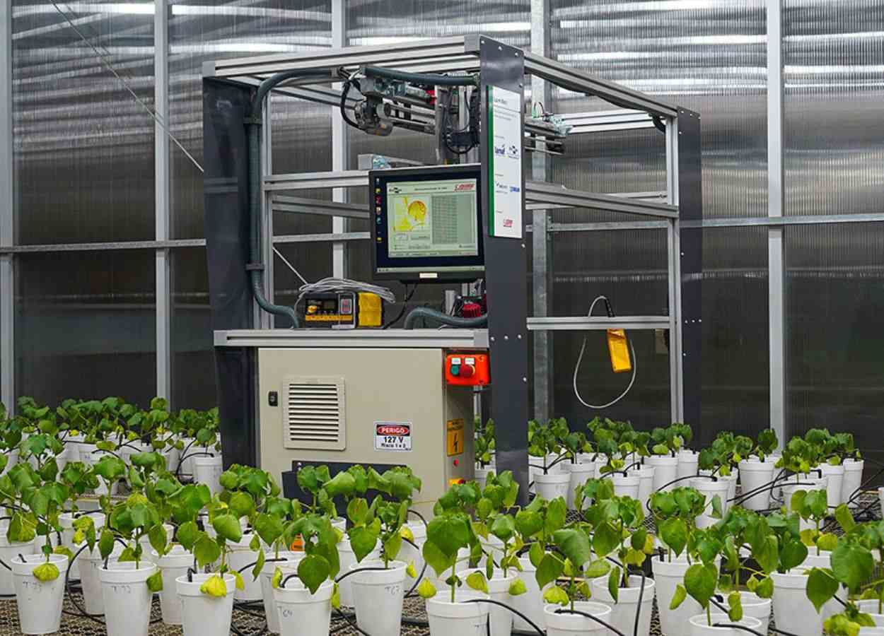 Embrapa testa robô para diagnóstico de doenças em plantas