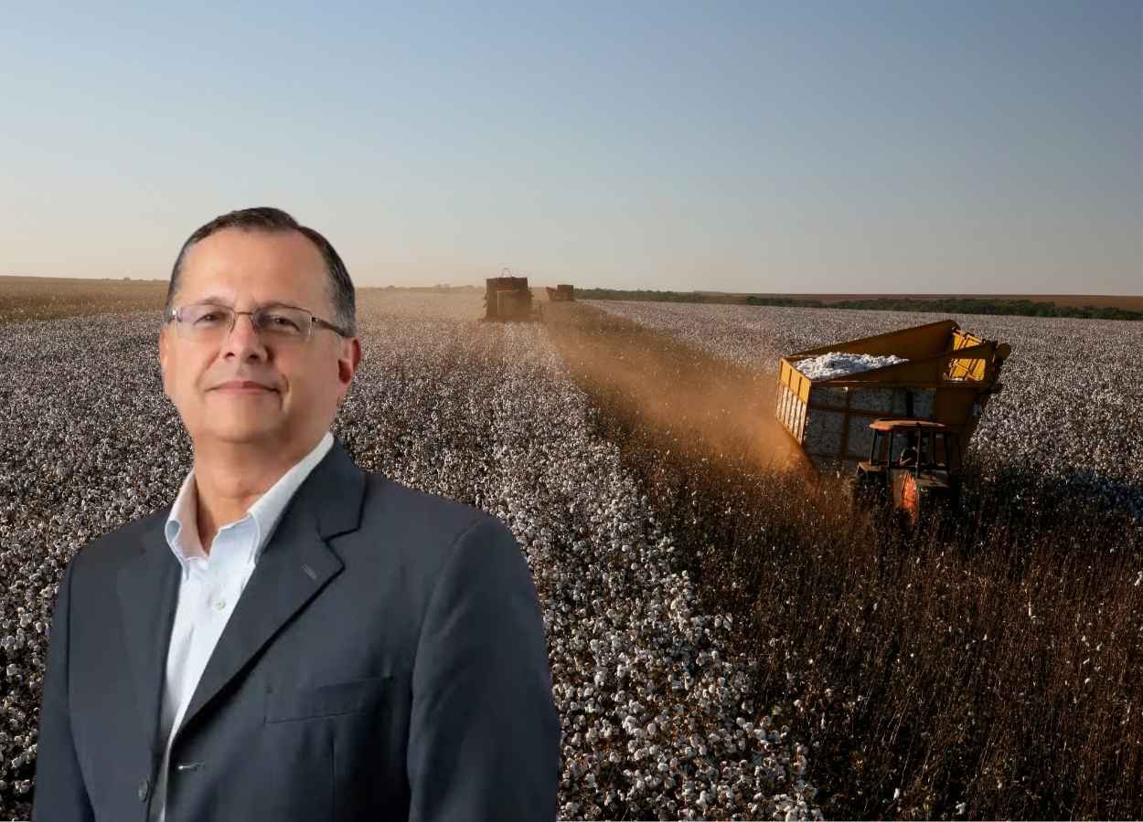 SLC Agrícola adquire 8,9 mil hectares em Mato Grosso