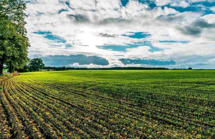 Inverno terá temperaturas acima da média em todo o Brasil