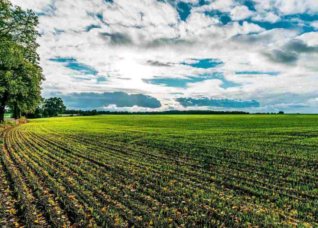 Inverno terá temperaturas acima da média em todo o Brasil