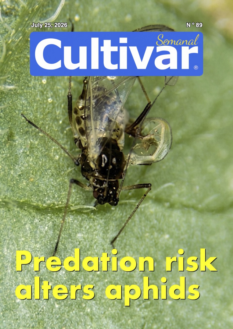 Cultivar Semanal 89