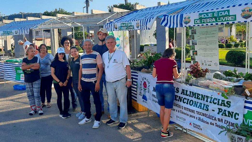 Epamig conduz projeto para popularização do cultivo e consumo de hortaliças PANC na Zona da Mata Mineira