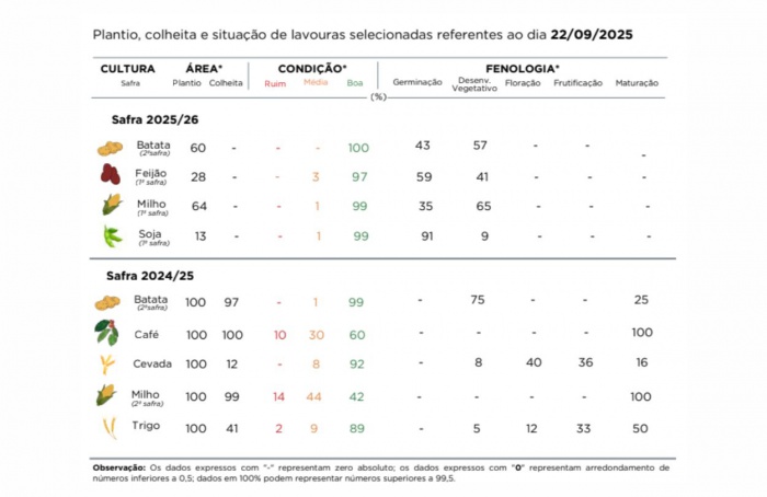 PR Safra 2025/26: plantios de soja e milho avançam no Estado