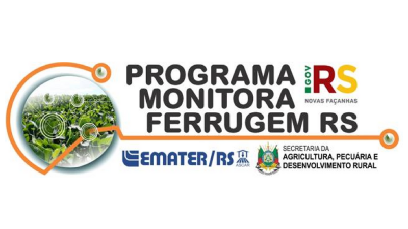 Programa Monitora Ferrugem RS auxilia no manejo da cultura da soja