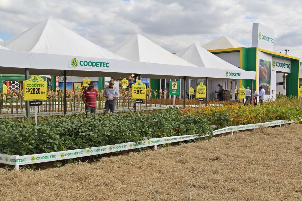 Coodetec apresenta portfólio diversificado na Agrobrasília