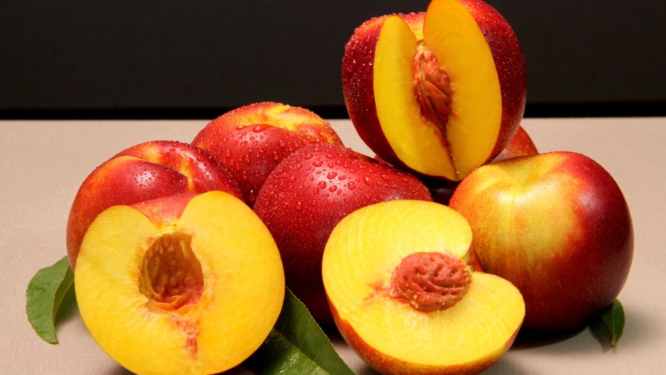 Foto: Carina Lanzetta