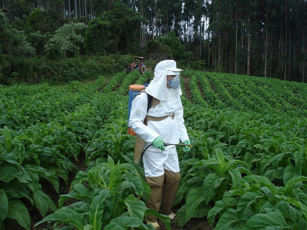 Treinamentos promovem aumento da segurança das aplicações de defensivos agrícolas no Brasil