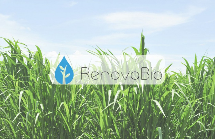 Orplana seeks to enable the inclusion of sugarcane producers in the RenovaBio project