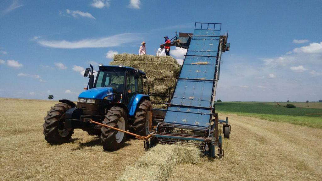Produtor de feno desenvolve equipamento inédito no Brasil