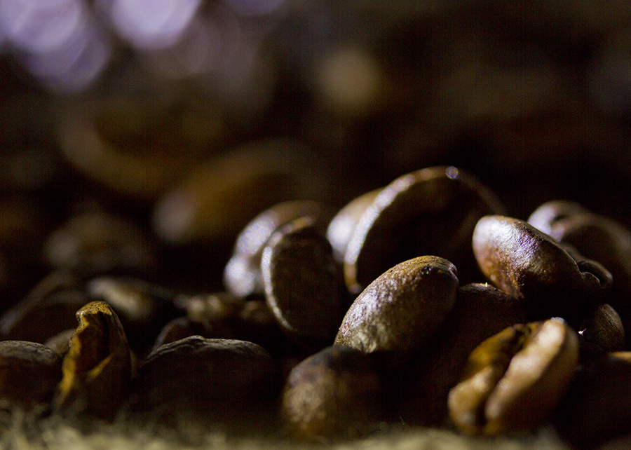 Patenteado método que identifica cafeeiros com teor reduzido de cafeína