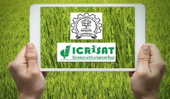 Embrapa fecha parceria com o Icrisat da Índia