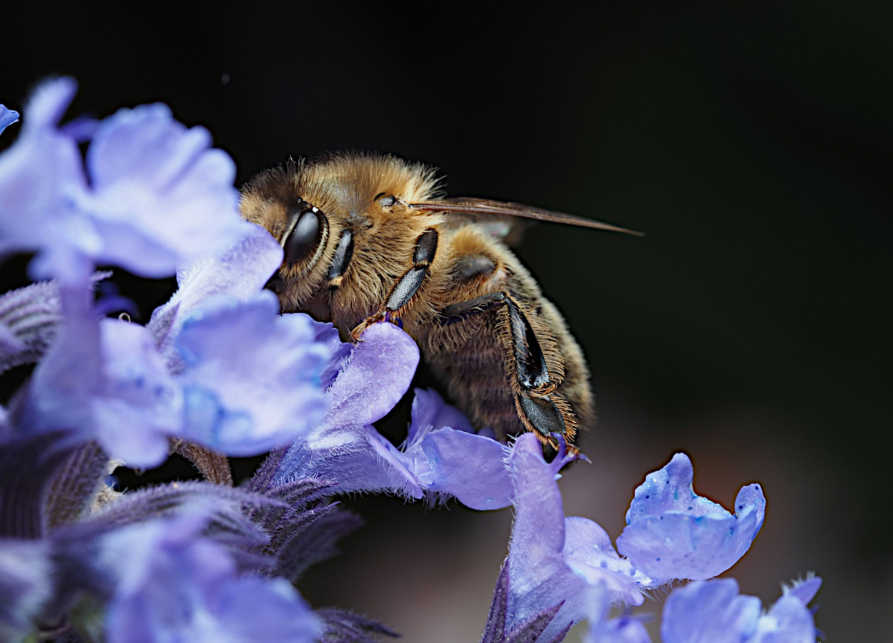 Foto:&nbsp; Ali Goode - Pexels