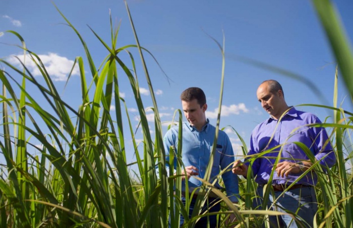 Bayer beteiligt sich an einem Fonds zur Dekarbonisierung der Agrarwirtschaft.