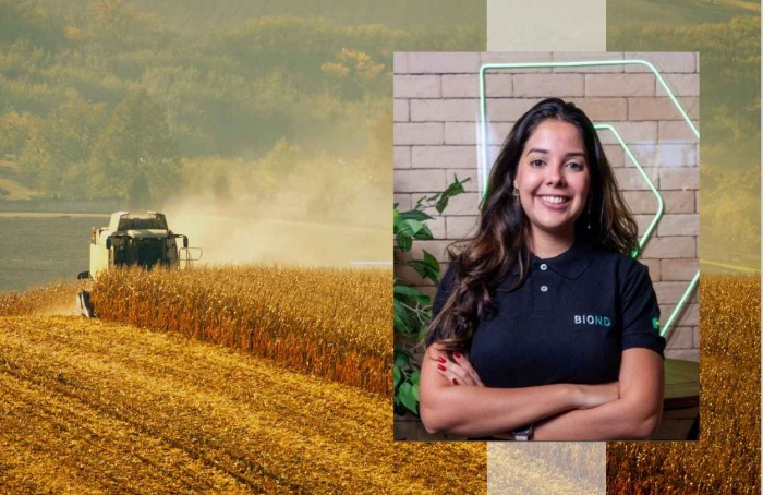 Soja e milho apresentam cenários distintos no mercado global