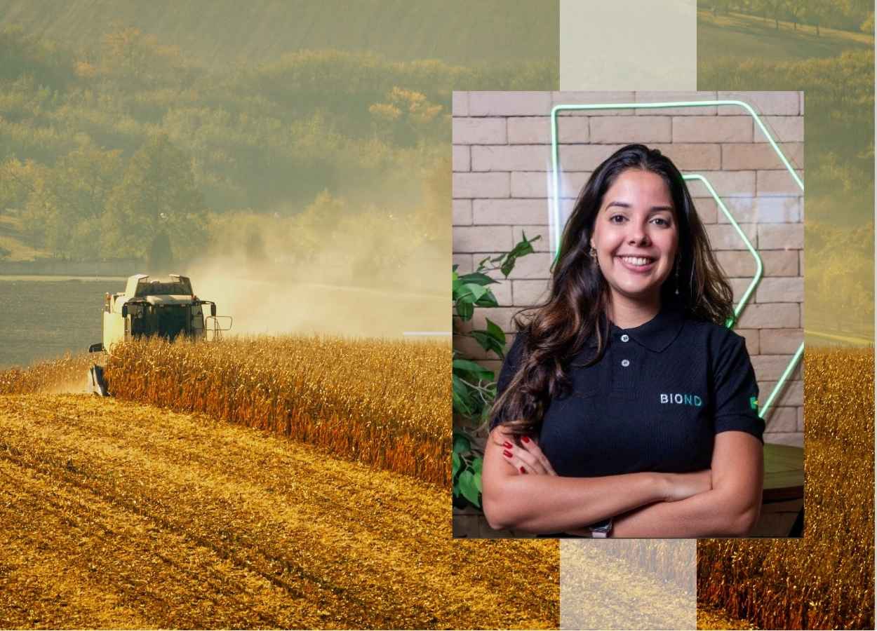 Soja e milho apresentam cenários distintos no mercado global