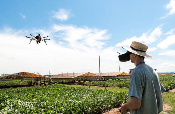 Embrapa lança nova edição do Soja Open Innovation em julho