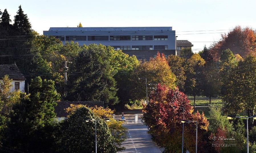 Embrapa e Universidade de Trás-os-Montes e Alto Douro celebram acordo de cooperação técnica