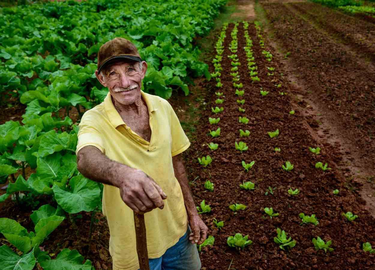 Crédito aprovado contempla 29,1 mil operações, com R$ 5,2 bilhões para investimentos e R$ 1,9 bilhão para custeio